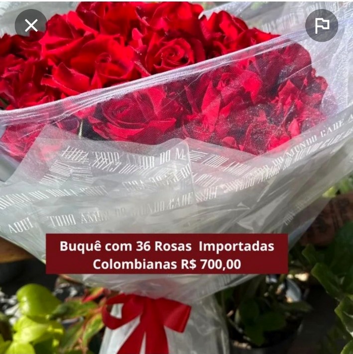 Rosas colombianas